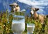 Maagilised numbrid Unenägude tõlgendus piima joomise kohta