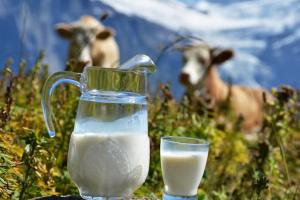 Magické čísla Výklad snov o konzumnom mlieku